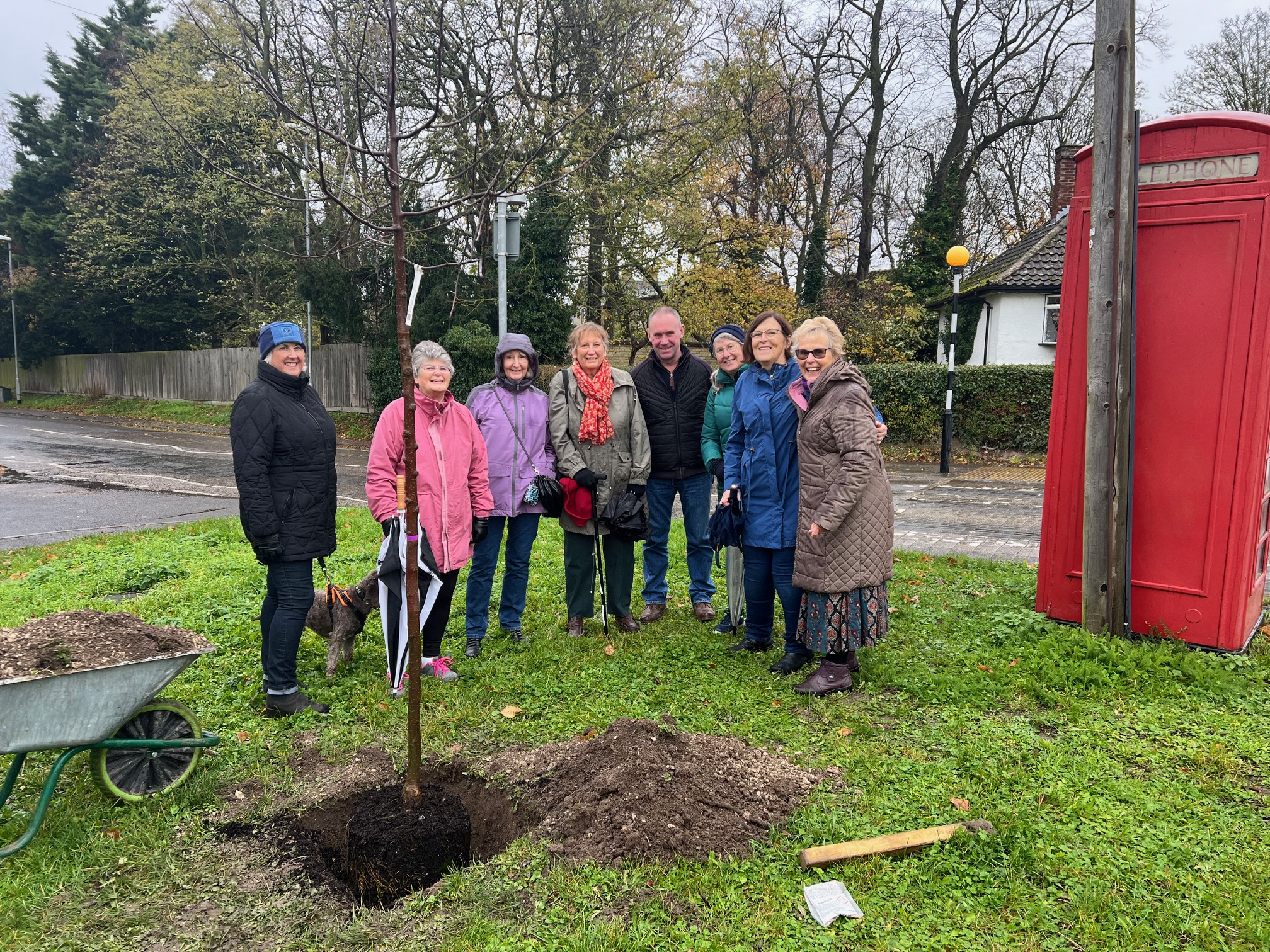 New Tree Planted on Pound Hill